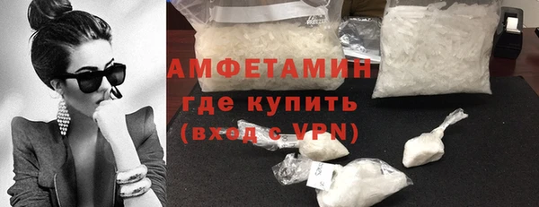 стаф Богданович
