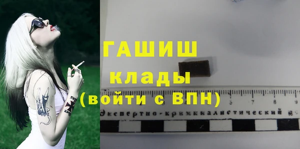 стаф Богданович