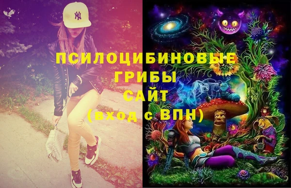 стаф Богданович