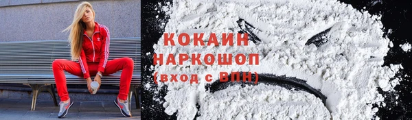 стаф Богданович