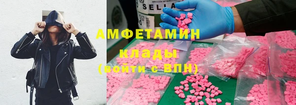 стаф Богданович